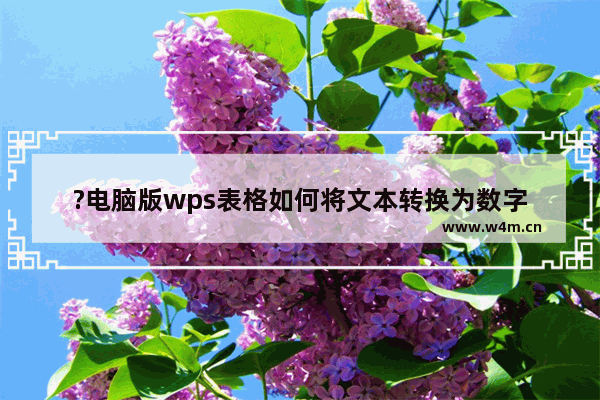 ?电脑版wps表格如何将文本转换为数字