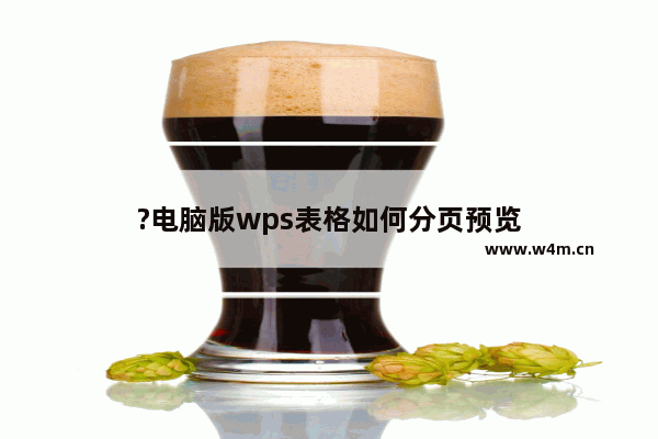 ?电脑版wps表格如何分页预览