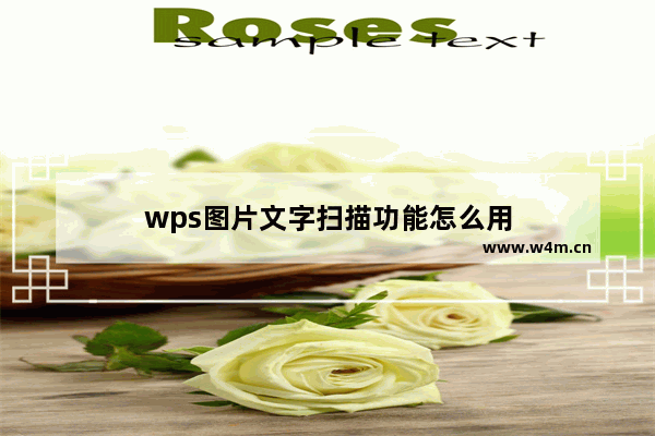 wps图片文字扫描功能怎么用