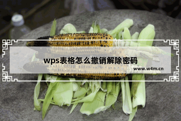 wps表格怎么撤销解除密码