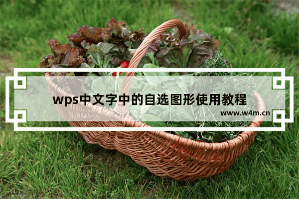 wps中文字中的自选图形使用教程