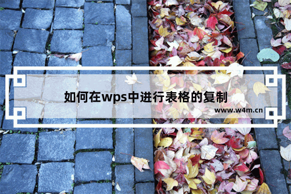 如何在wps中进行表格的复制