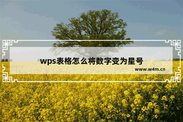 wps表格怎么将数字变为星号