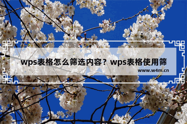 wps表格怎么筛选内容？wps表格使用筛选器进行筛选的方法！