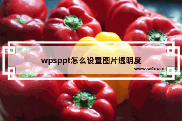 wpsppt怎么设置图片透明度