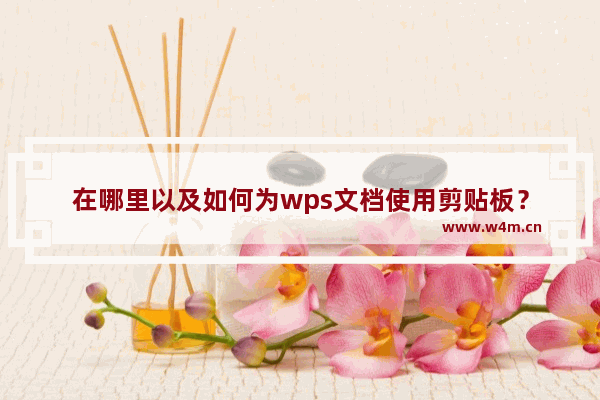 在哪里以及如何为wps文档使用剪贴板？