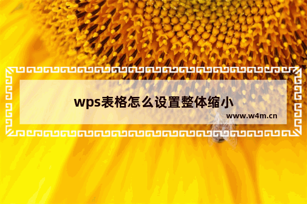 wps表格怎么设置整体缩小