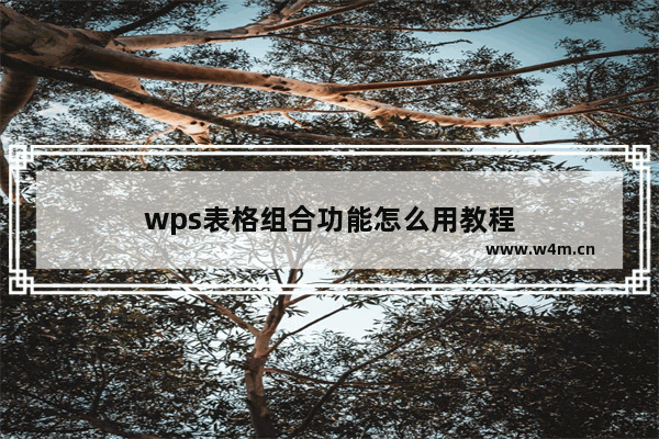 wps表格组合功能怎么用教程