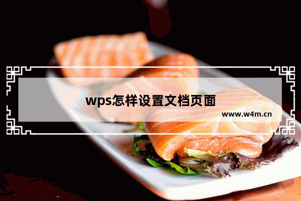 wps怎样设置文档页面