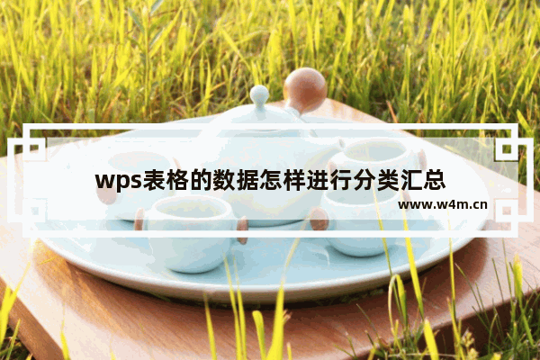 wps表格的数据怎样进行分类汇总