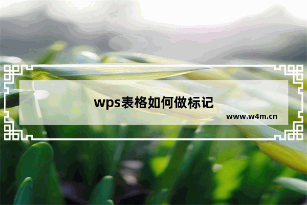 wps表格如何做标记