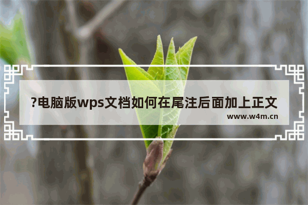 ?电脑版wps文档如何在尾注后面加上正文