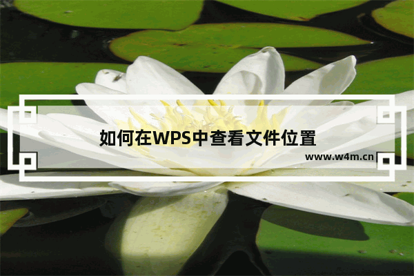 如何在WPS中查看文件位置