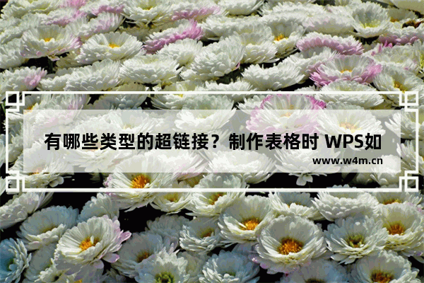 有哪些类型的超链接？制作表格时 WPS如何在表格中插入超链接