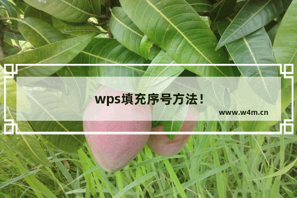 wps填充序号方法！