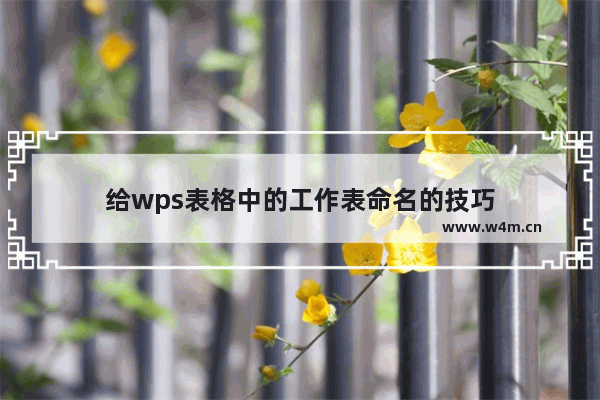 给wps表格中的工作表命名的技巧