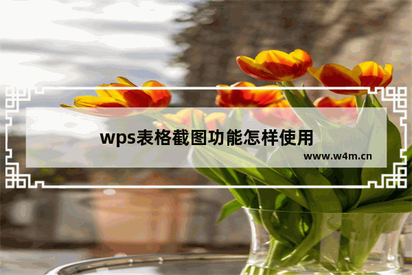 wps表格截图功能怎样使用