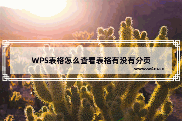 WPS表格怎么查看表格有没有分页