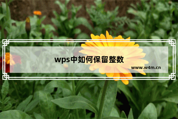 wps中如何保留整数