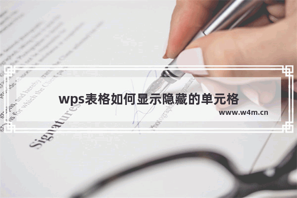 wps表格如何显示隐藏的单元格