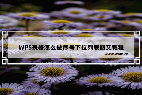 WPS表格怎么做序号下拉列表图文教程