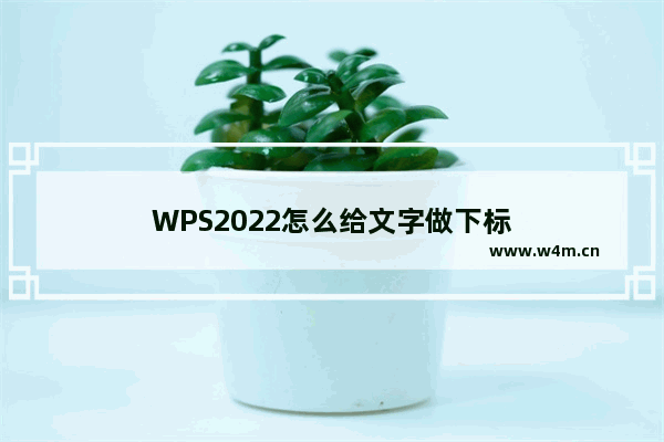 WPS2022怎么给文字做下标