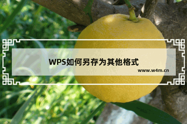 WPS如何另存为其他格式