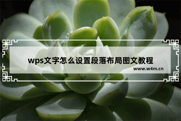 wps文字怎么设置段落布局图文教程