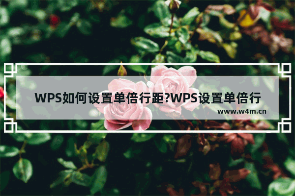 WPS如何设置单倍行距?WPS设置单倍行距教程