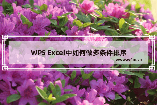 WPS Excel中如何做多条件排序