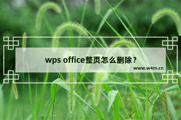 wps office整页怎么删除？