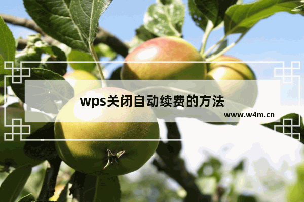 wps关闭自动续费的方法