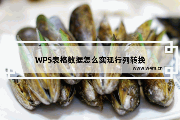 WPS表格数据怎么实现行列转换