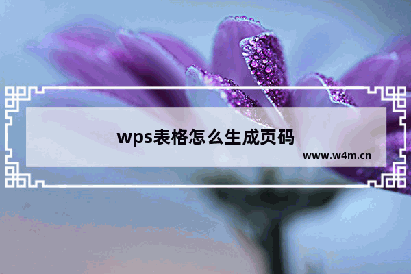 wps表格怎么生成页码