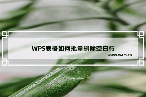 WPS表格如何批量删除空白行