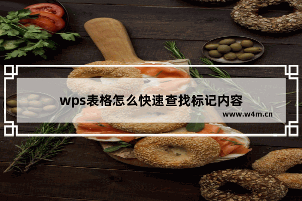 wps表格怎么快速查找标记内容