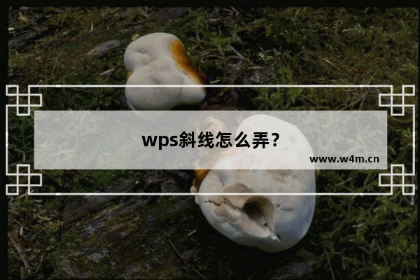 wps斜线怎么弄？