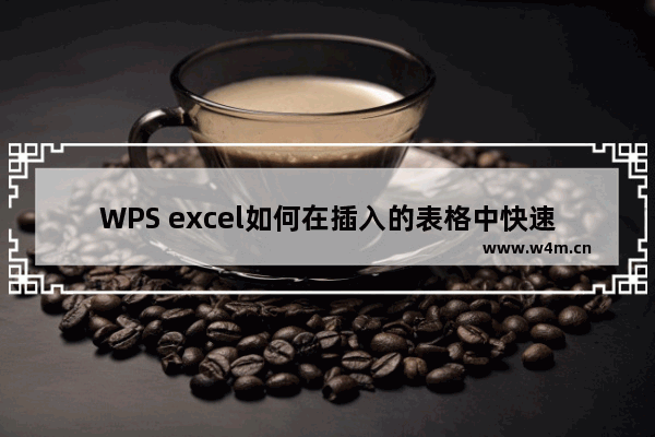 WPS excel如何在插入的表格中快速填充文本内容