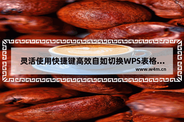 灵活使用快捷键高效自如切换WPS表格工作簿与工作表