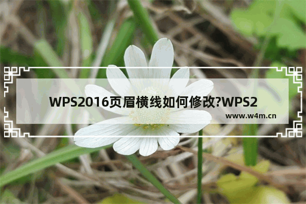 WPS2016页眉横线如何修改?WPS2016页眉横线格式的设置方法