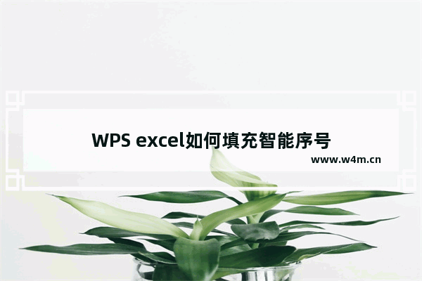 WPS excel如何填充智能序号