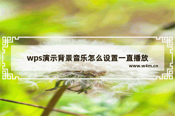 wps演示背景音乐怎么设置一直播放