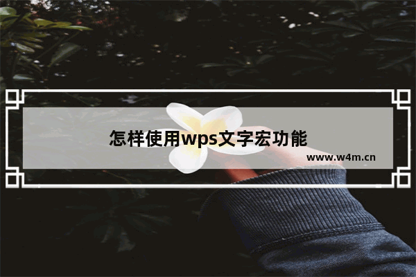 怎样使用wps文字宏功能