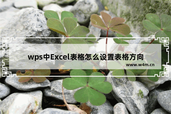 wps中Excel表格怎么设置表格方向