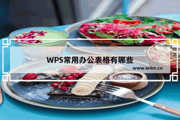 WPS常用办公表格有哪些