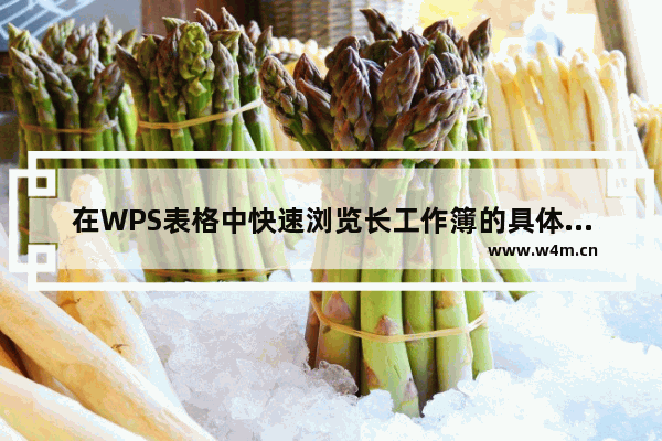 在WPS表格中快速浏览长工作簿的具体操作