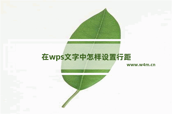 在wps文字中怎样设置行距