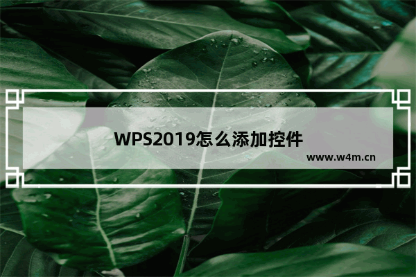 WPS2019怎么添加控件