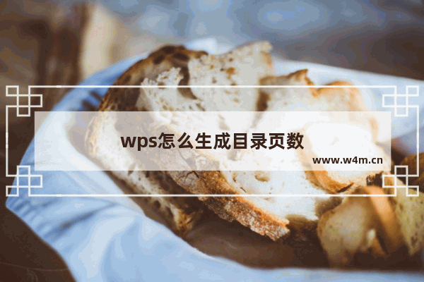 wps怎么生成目录页数