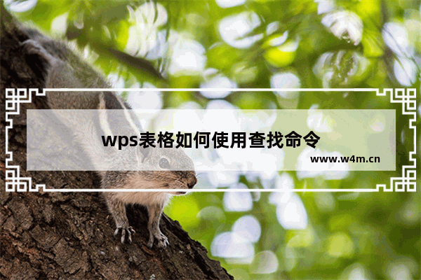 wps表格如何使用查找命令